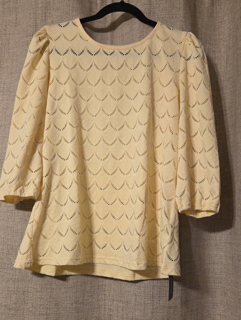 Light Yellow Eyelet Puff-Sleeve Blouse NWT